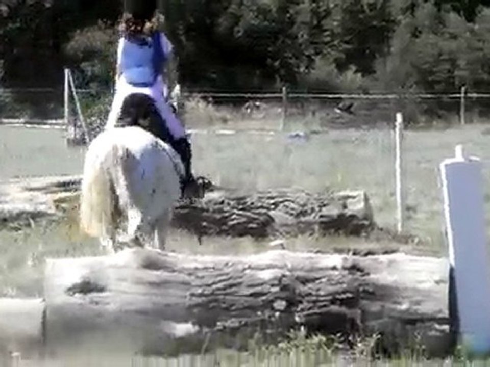 Poney mignon
