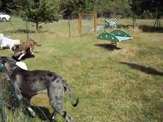 FAROUK chez les ados