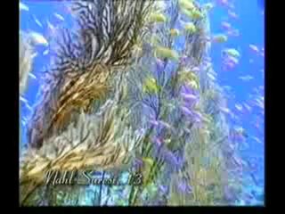 Kuran Meali: Nahl Suresi 1-26