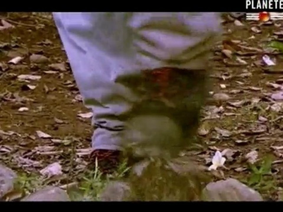 Krakatoa, l'erruption du millenaire part6