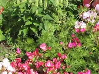 USER STYLES CVP 403 Chapitre 5