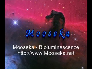 Mooseka - Bioluminescence
