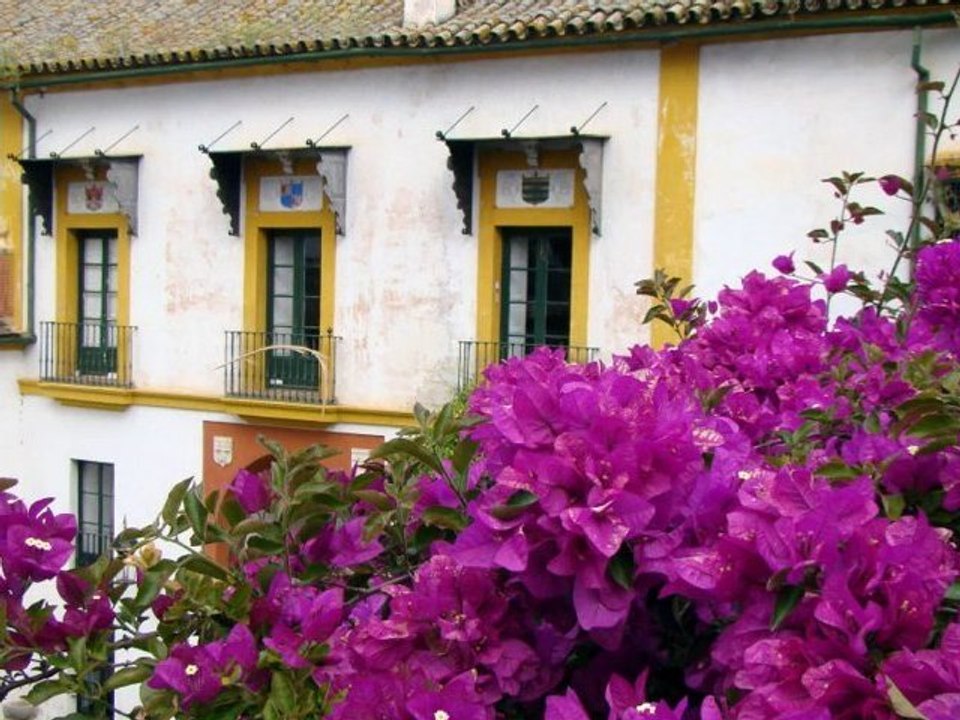 Voyage en Andalousie - Mai 2010 - FULL HD