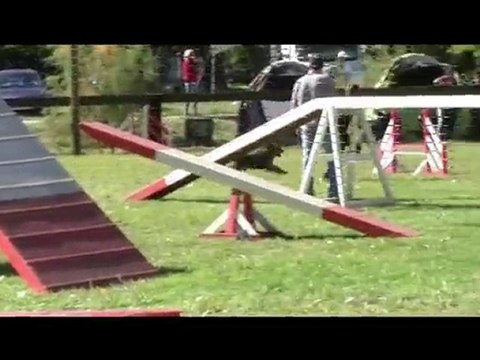 Buck Agility Eyragues 19/09/10