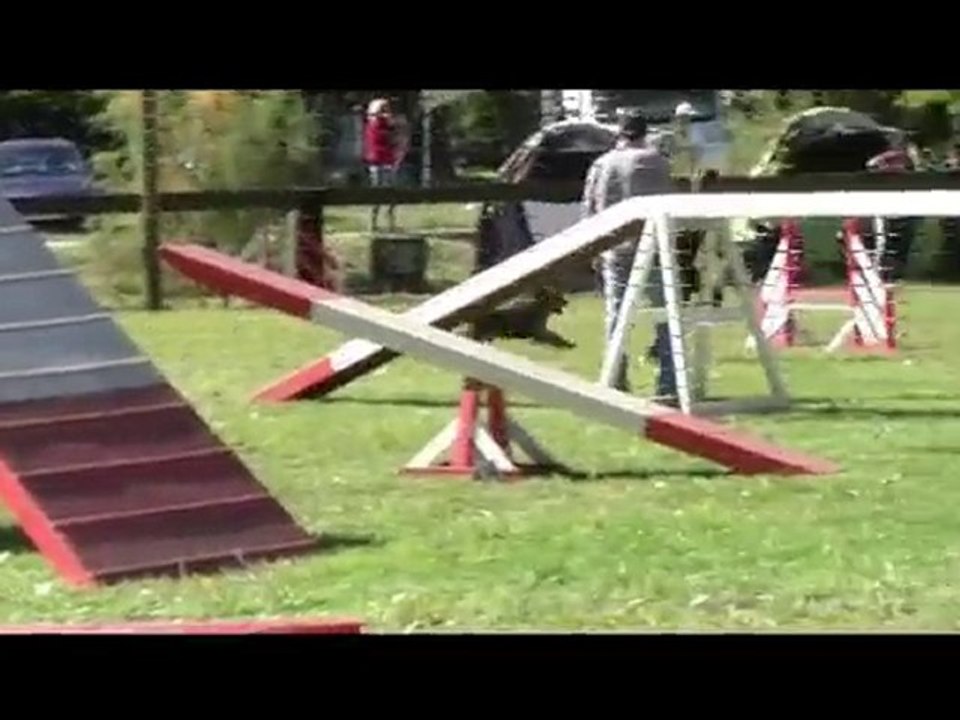 Buck Agility Eyragues 19/09/10