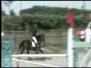 RAKOSI D2P sept10 VIRE