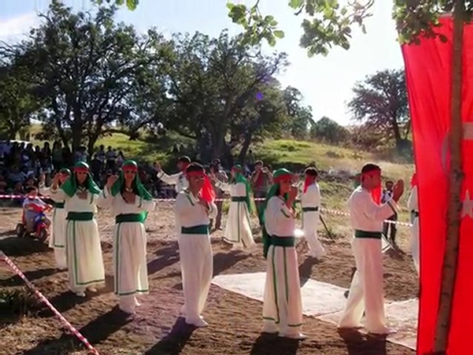MEDİNE KAPLAN-ŞAH GELDİ