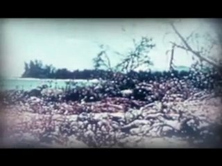 The Rebels of Tijuana - Fire Till The Break of Dawn (2010)