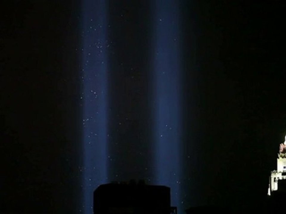 Birds in the Light