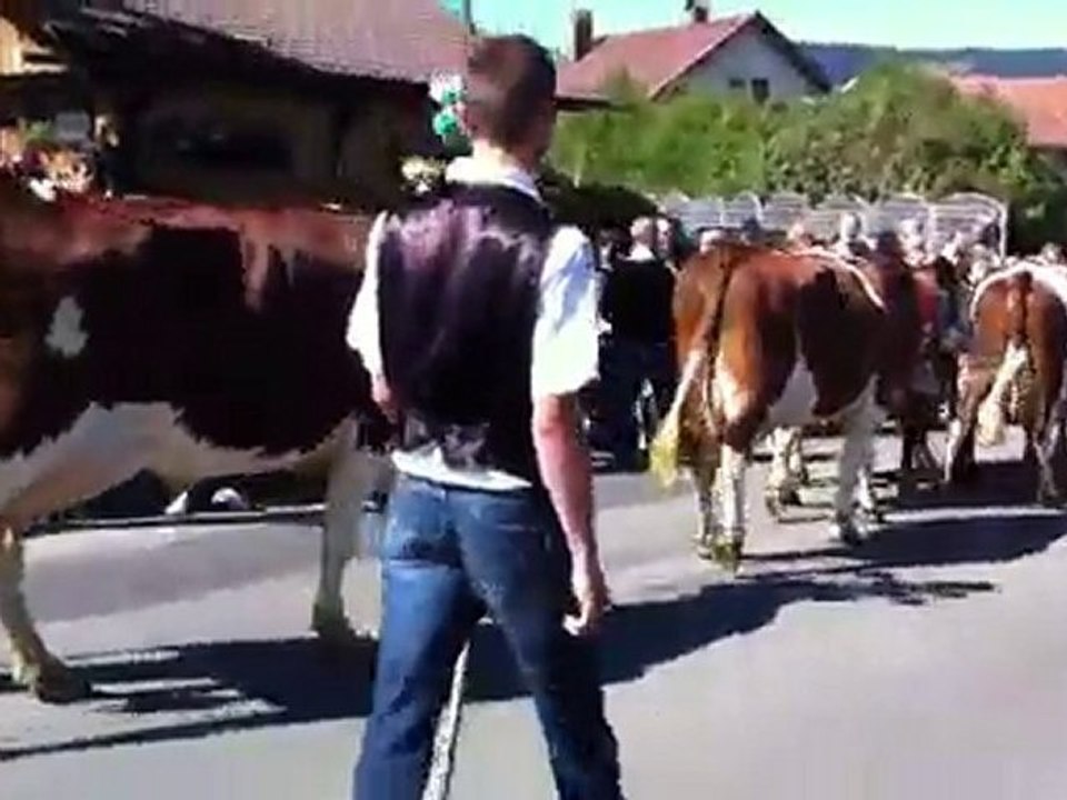 Descente D'alpage 4