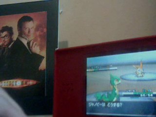 Ma capture de Victini