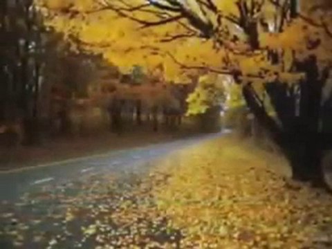 atilla ilhan - üçüncü şahsın şiiri