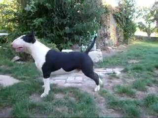Photo 069