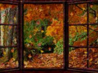 Árva falevél – Nekem nagyon tetszik 🍂