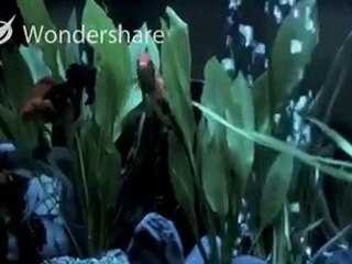 Irma, De Los Peces Trailer HD