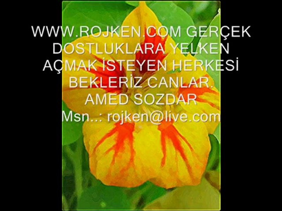 Ali Temel - Eli Temel - Buka Kurda