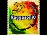 RAGGASONIC Festival Reggae Sun Ska 2010 - www.regge-Est.fr -