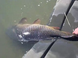 nokillus30 parti der pêche en canal