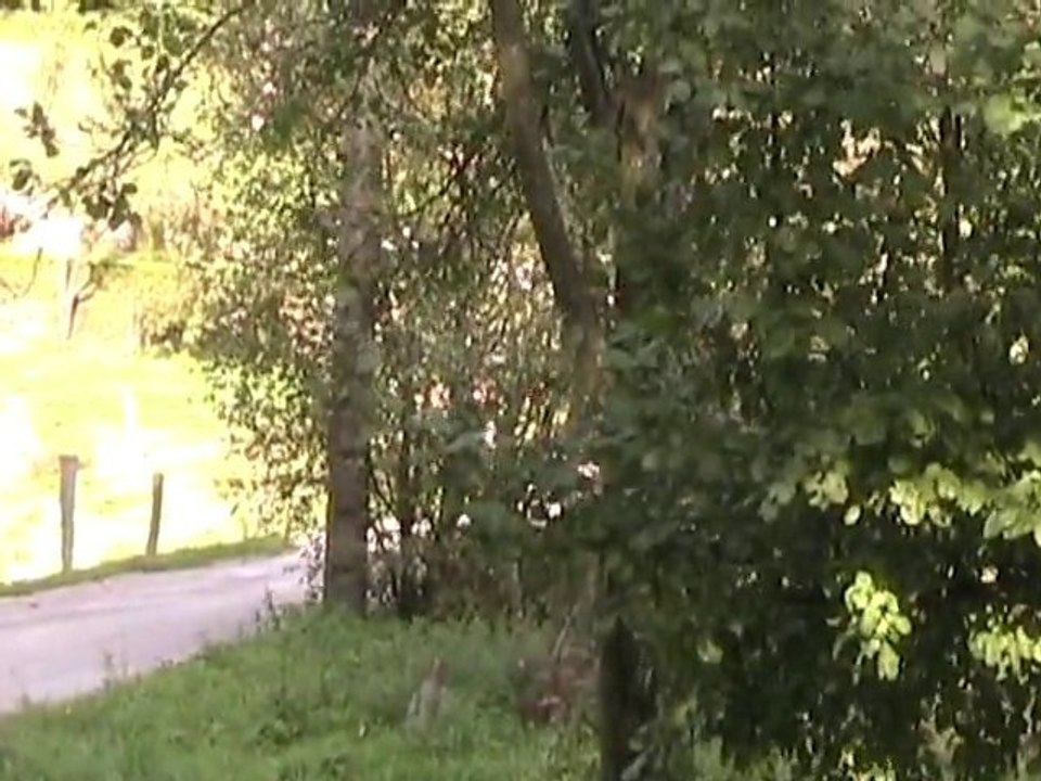 Rallye Vosgien 2010 ES4 (début)