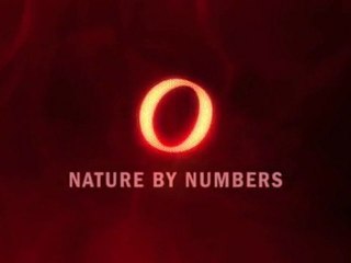 Nature in Numbers