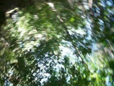 Rando Allier 2010 IM092