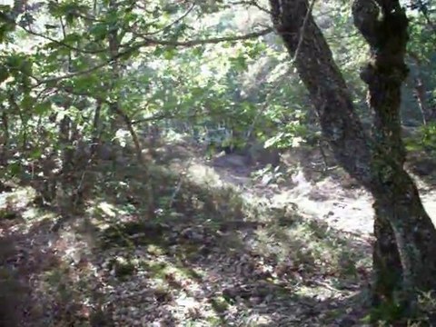 Gescente technique Rando 4x4 Allier 2010 IM094