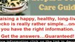 Leopard Gecko Care - Complete care guide for leopard gecko l