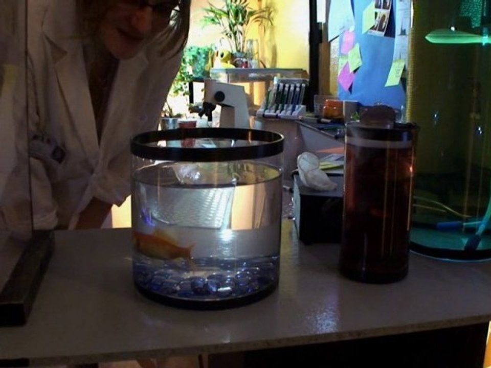 RAS - Equipe de Choc - 1 - Nous revoilà...