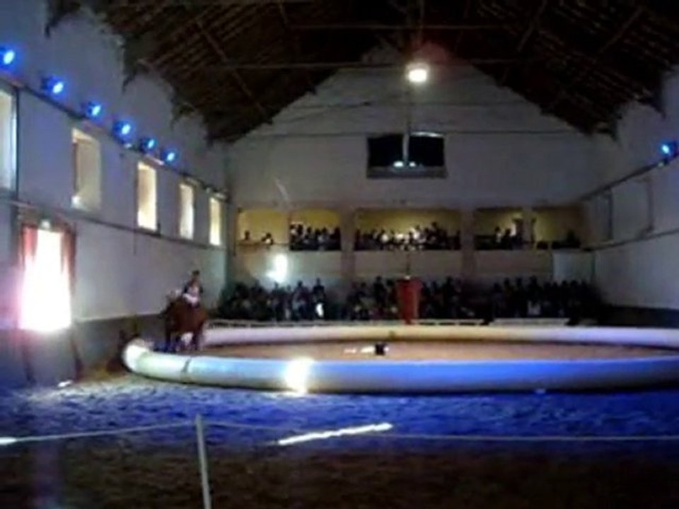 spectacle équestre au haras de RODEZ !!!