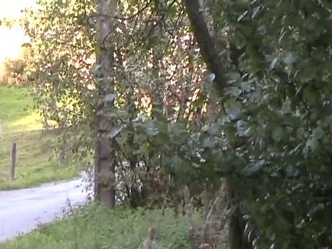 Rallye Vosgien 2010 ES 4 (fin) + début ES 6