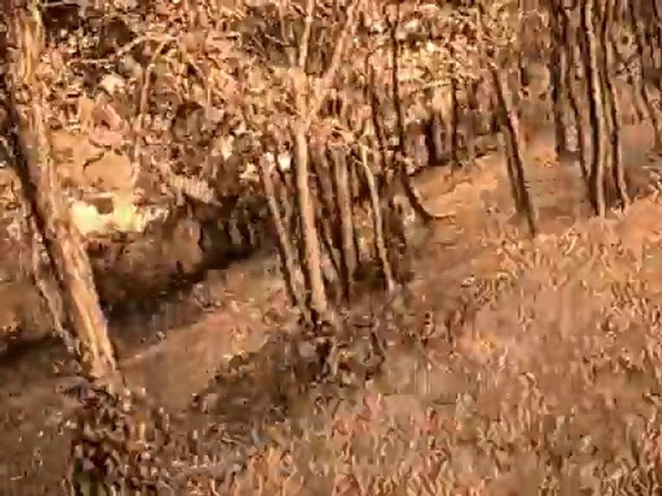 Commando Mc Flury Episode 4