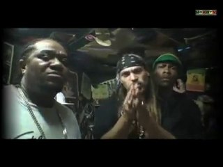 Postiv Young Lion - Babylon badboy