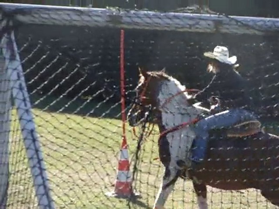 Fête du cheval à Malmont - démonstration équitation western