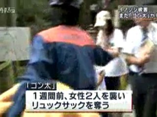 六甲山のイノシシ 男性が指かまれる 「ゴン太」か？