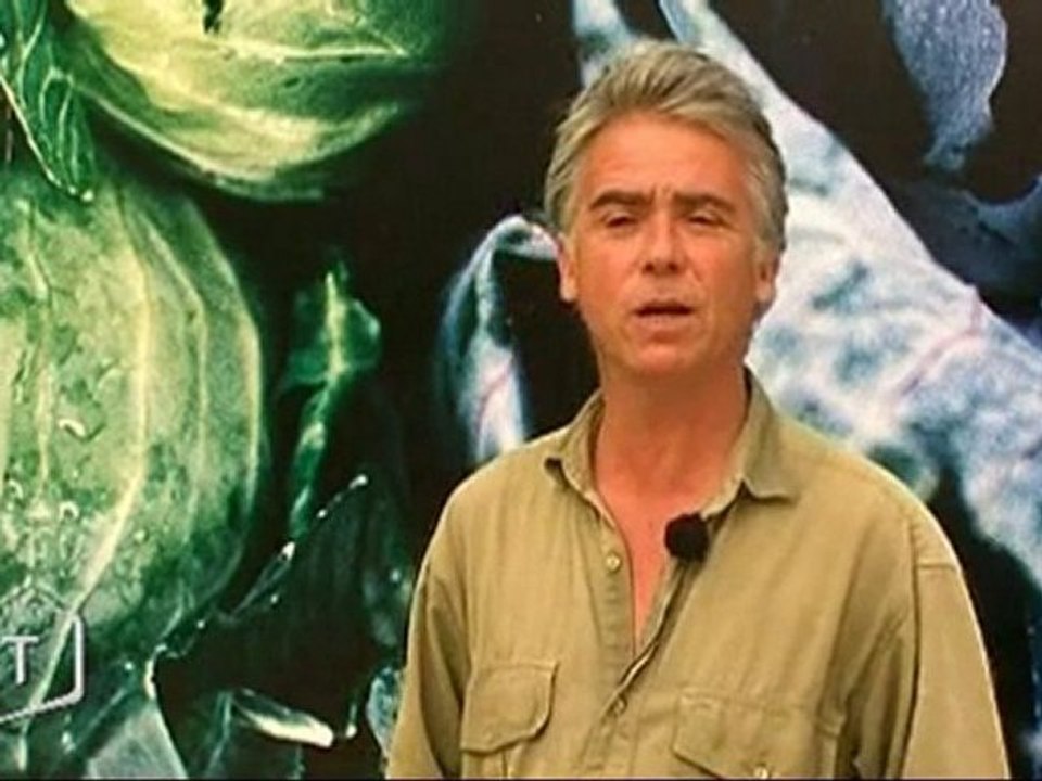 Exposition : trente cinq ans de photographie (Vendée)