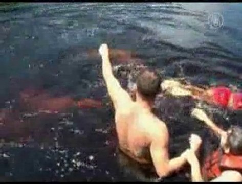 Les rares dauphins roses brésiliens soignent les hommes