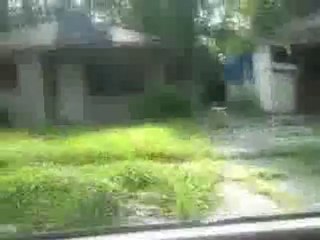 You gotta see this neighborhood!