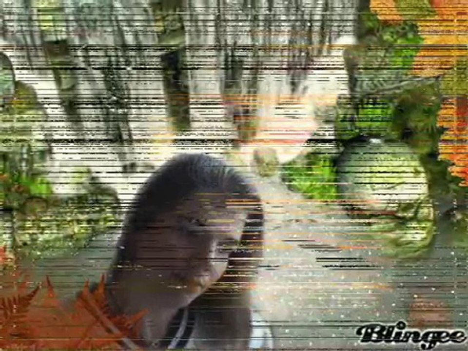 living-my-dream---cato new artiste