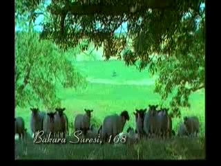 Kuran Meali: Bakara Suresi 163-173