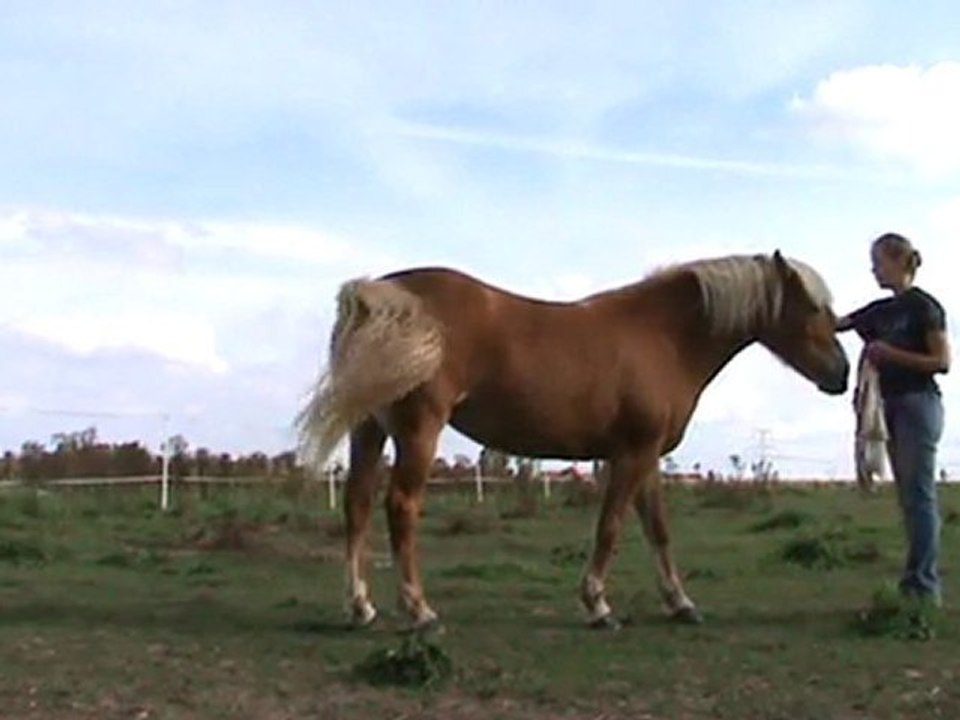 taratata