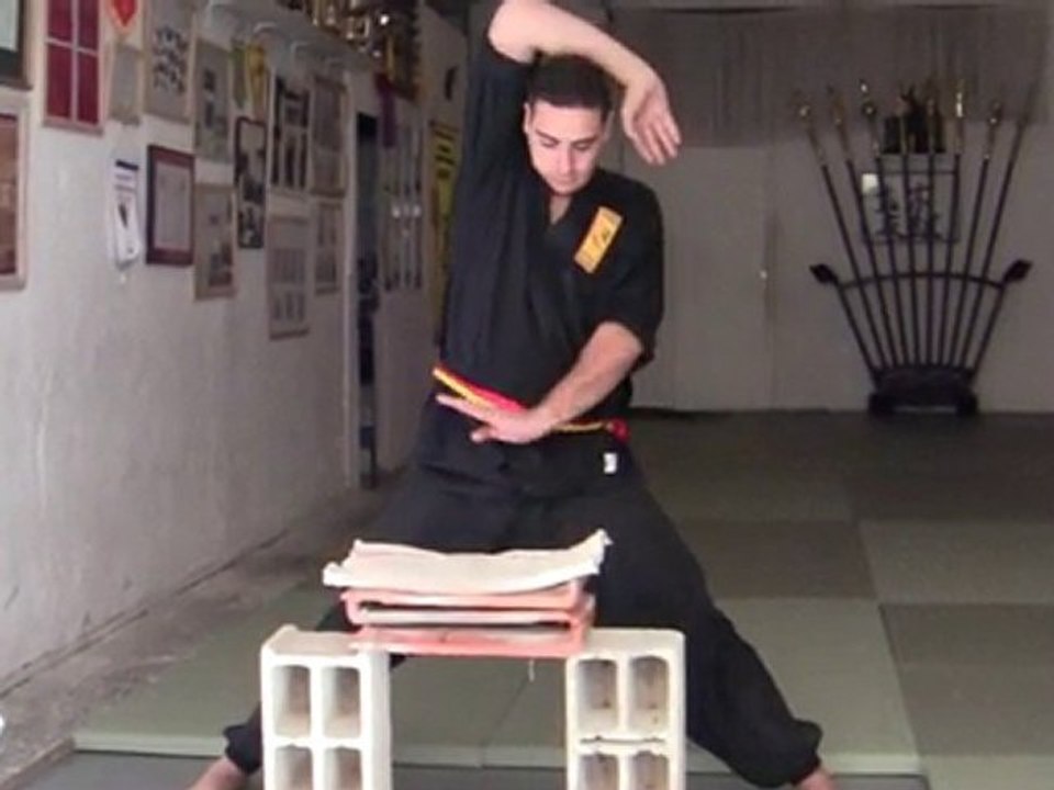 [Nam-Ho-Quyen] Casse de tuiles en revers de main par Momo