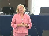 Gesine Meissner on accidents and incidents in civil aviation