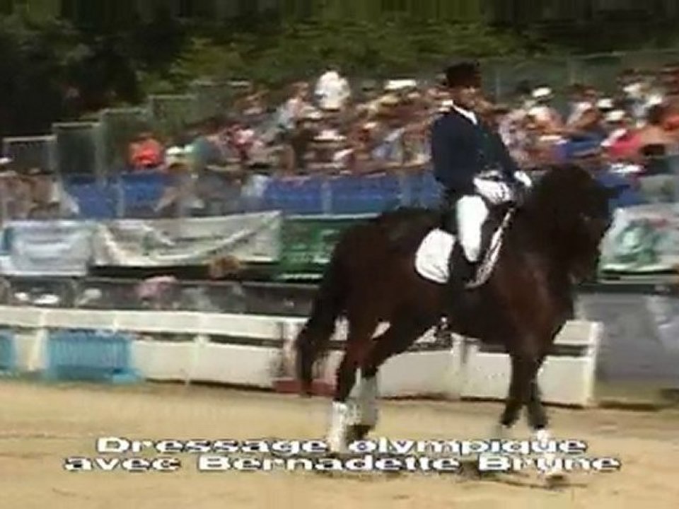 Journées Equestres du Var à Montferrat