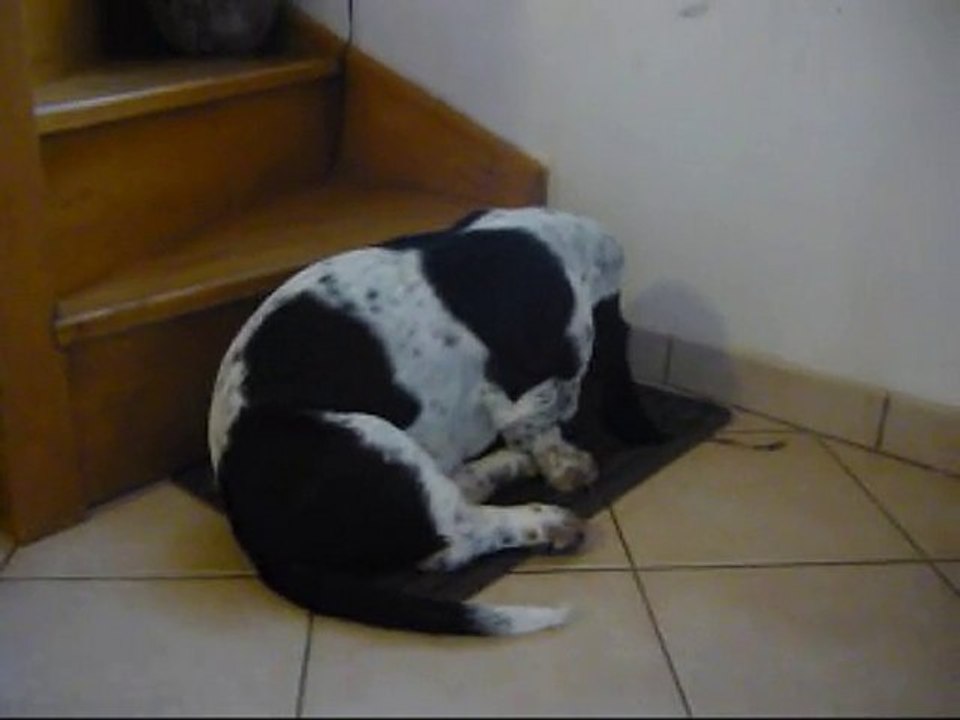 Fonzie et Félicie, les bons potes