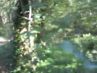 nouveau terain " foret "