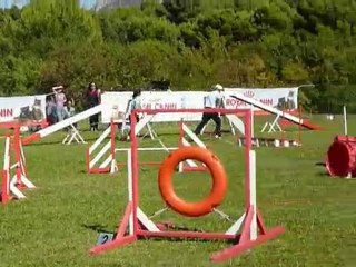 Anakin - 3e degre Aubagne