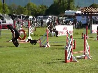 Asian - Jumping Aubagne