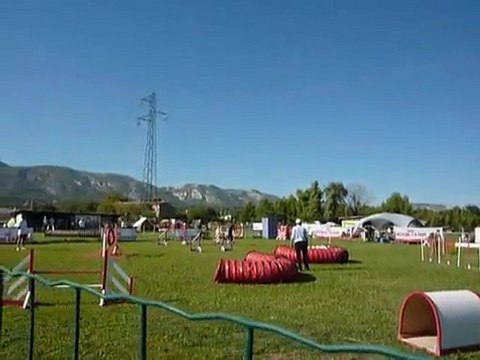 Brownie - Jumping Aubagne