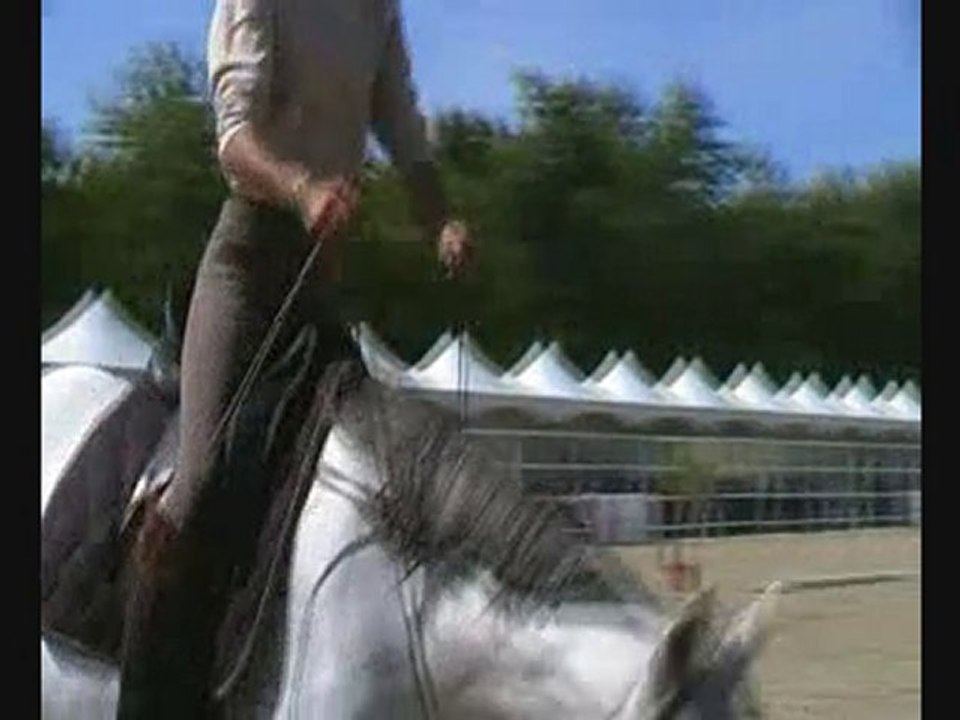 cordelette emilie goa