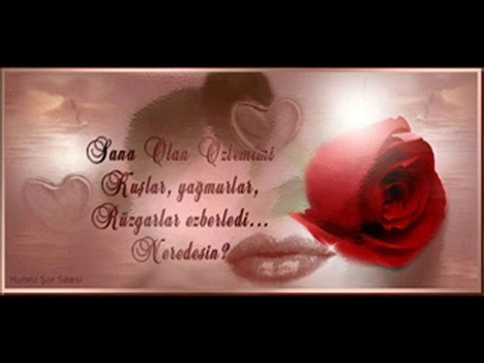 Zeki Muren Sana Olan Ozlemim